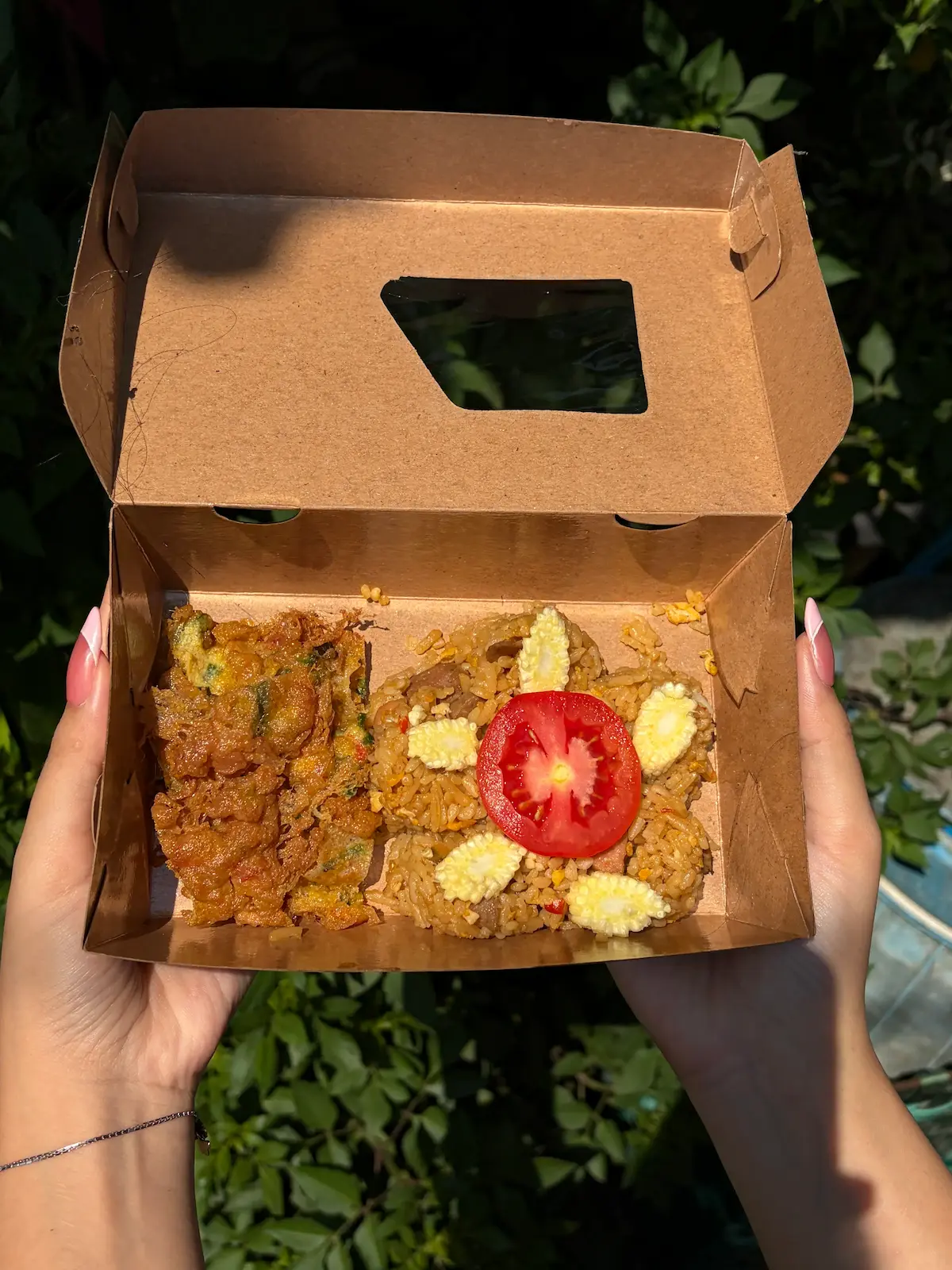 Nasi Goreng altwopelangi